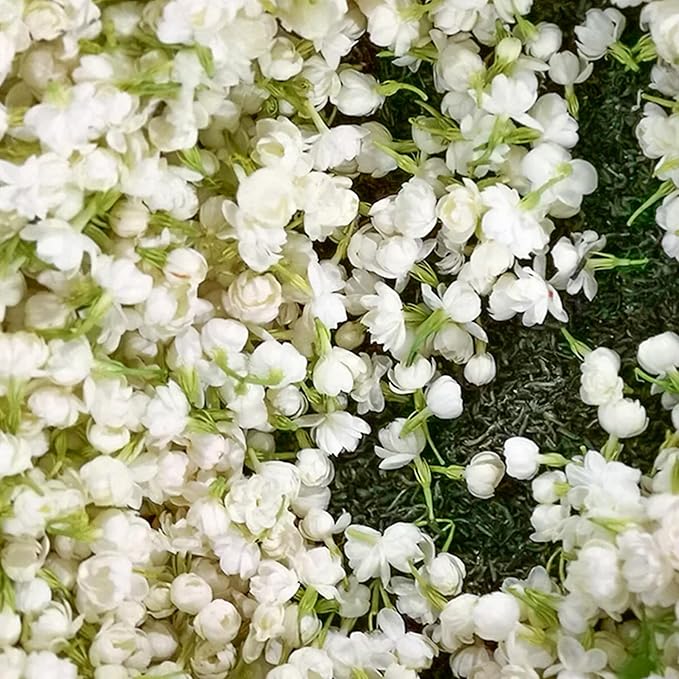 MidnightJasmine—Transform Your Home Into A Scented Sanctuary + 50% OFF