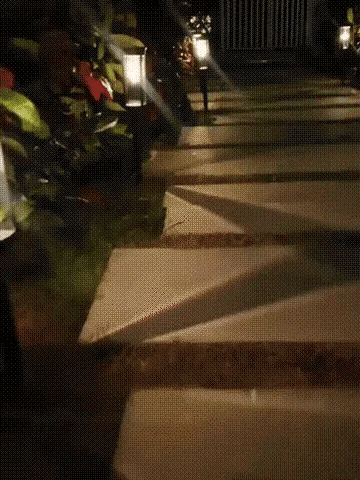 The SunGlow Pathway Lights - 14 Hours of Light, Zero Maintenance + 50% OFF