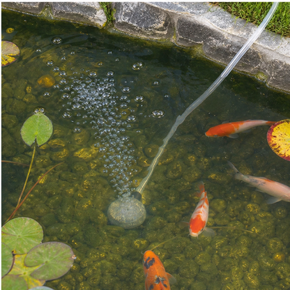 Ripplewell™ – Solar Direct-Drive Pond Aerator with Air Pump & Stone + 50% OFF
